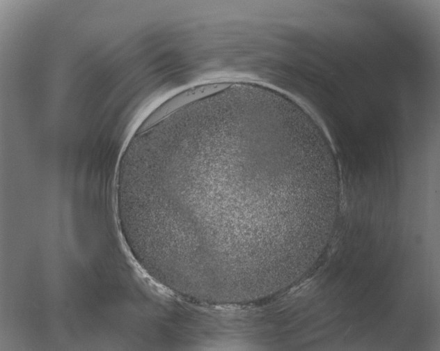 X0000076420911200610161123