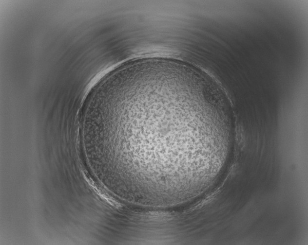 X0000076420933200610161123