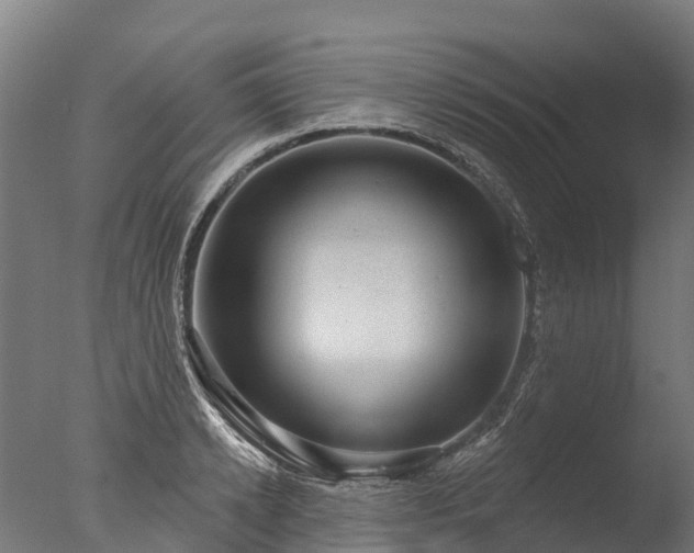 X0000076420942200610161123
