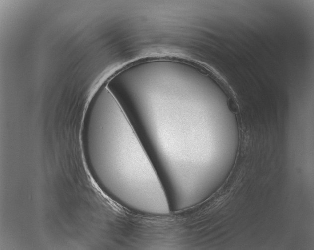 X0000076420943200610161123
