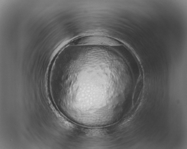X0000076420949200610161123