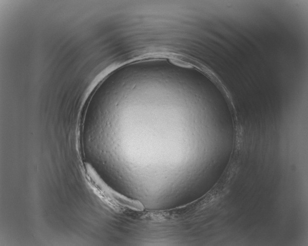 X0000076420955200610161123