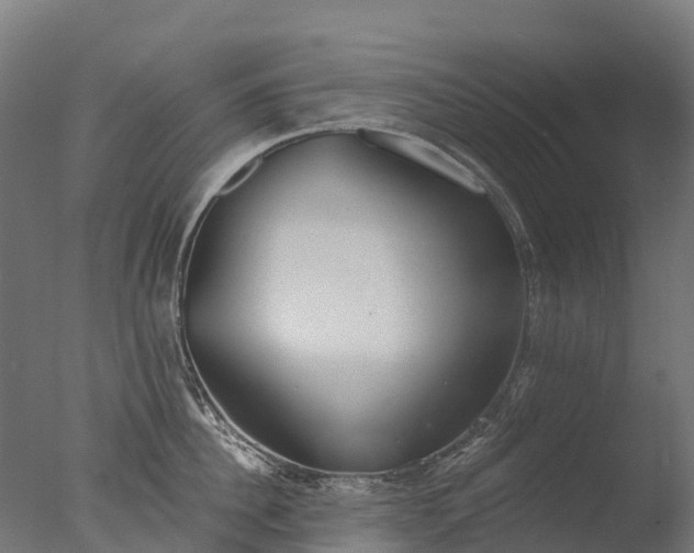 X0000076420956200610161123