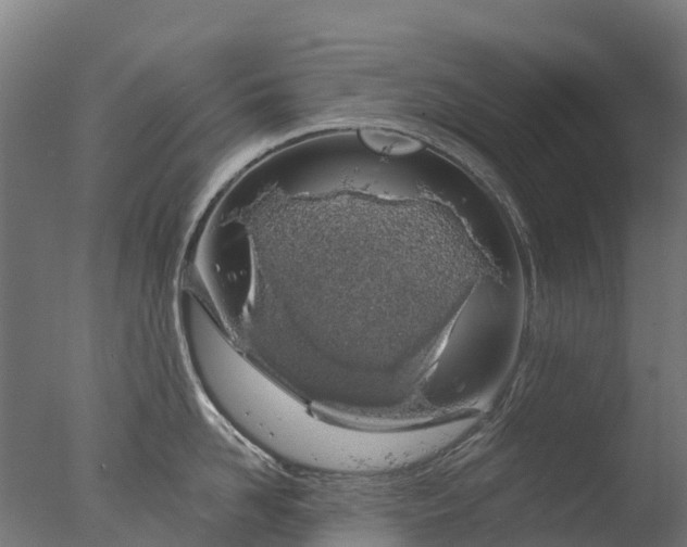 X0000076420958200610161123