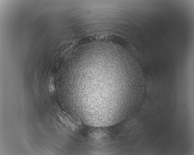 X0000076420962200610161122