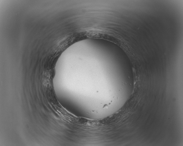 X0000076420964200610161122