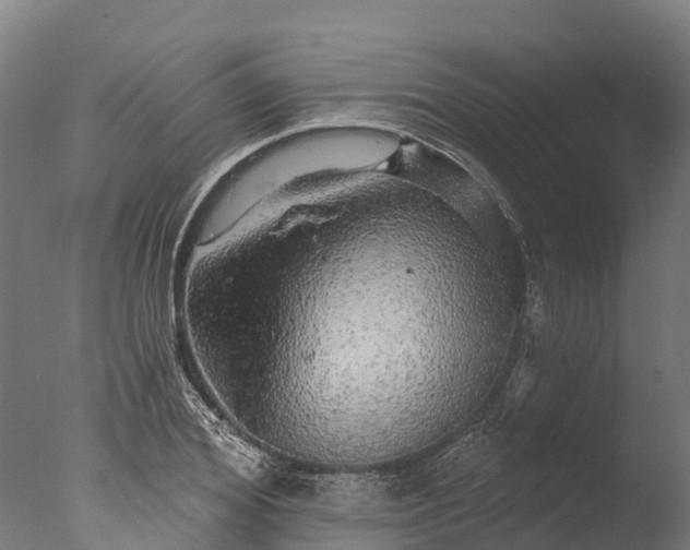 X0000076420980200610161122