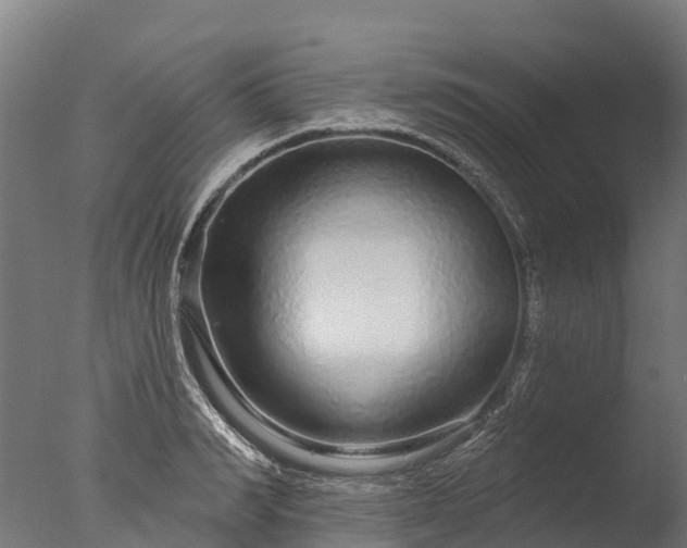 X0000076420990200610161122