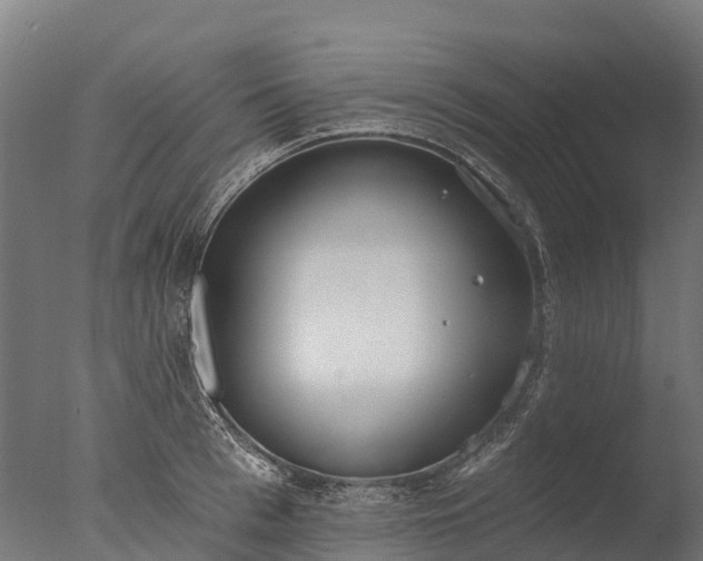 X0000076420993200610161122