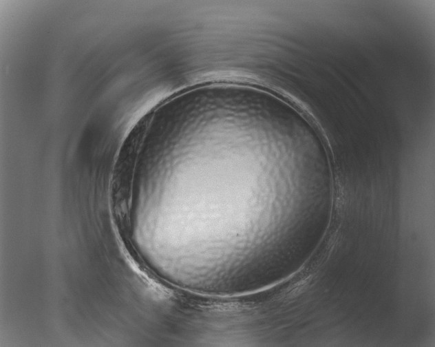 X0000076420999200610161122
