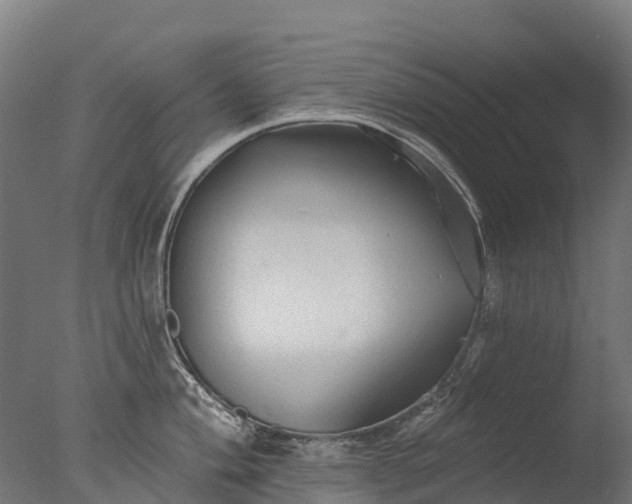 X0000076421004200610161122