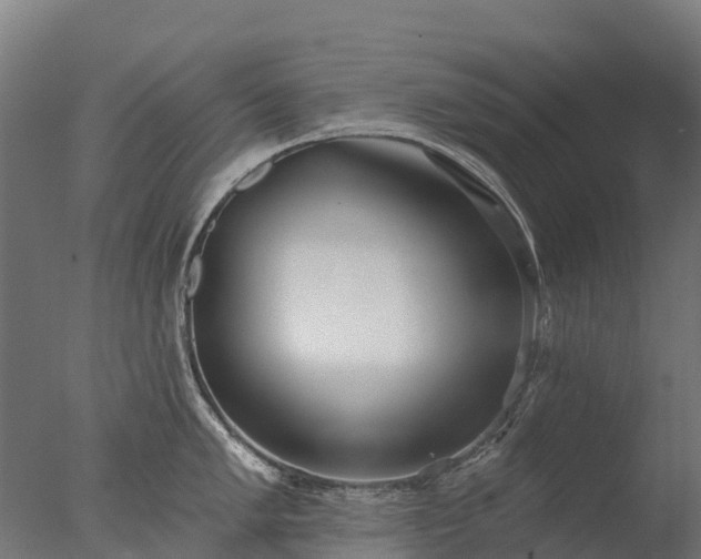 X0000076421005200610161122