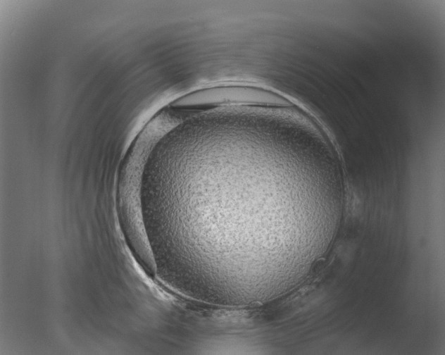 X0000076421006200610161122