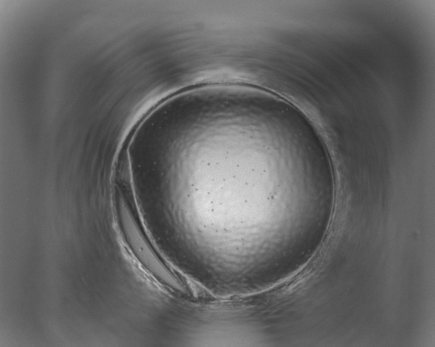 X0000076421008200610161122