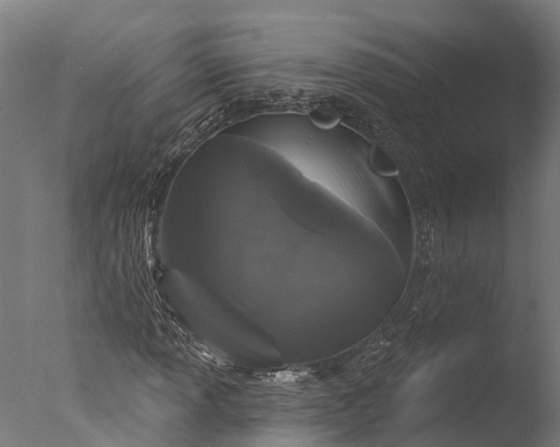 X0000076421013200610161121