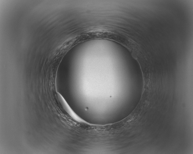 X0000076421014200610161121