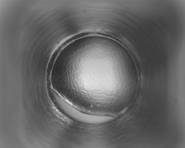 X0000076421020200610161121