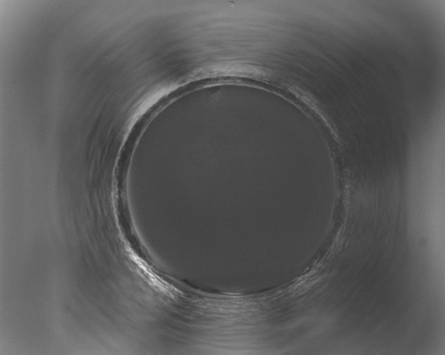 X0000076421024200610161121