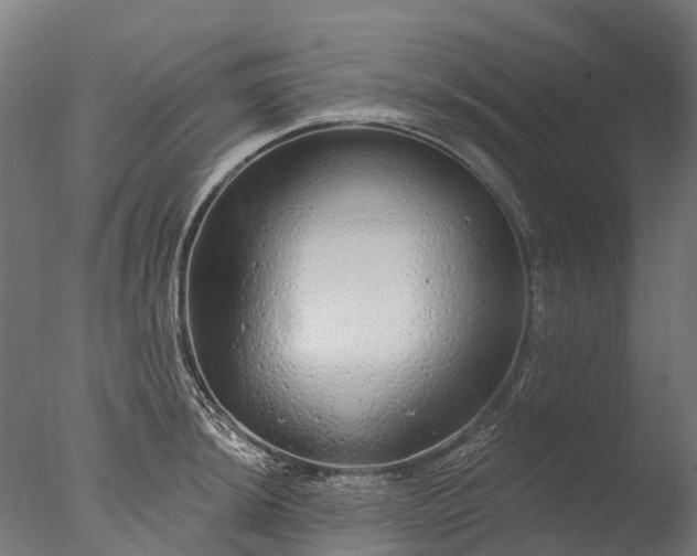 X0000076421044200610161121