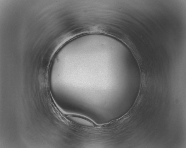X0000076421052200610161122