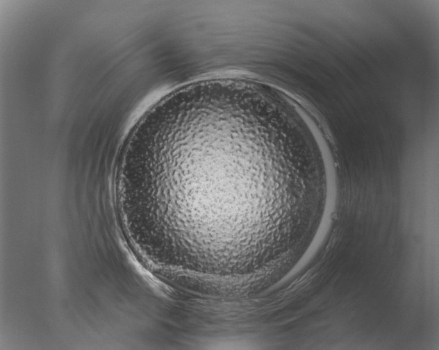 X0000076421054200610161122