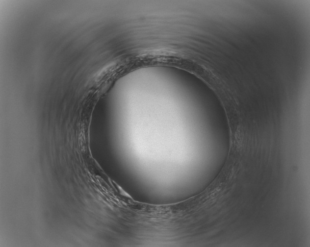 X0000076421062200610161121