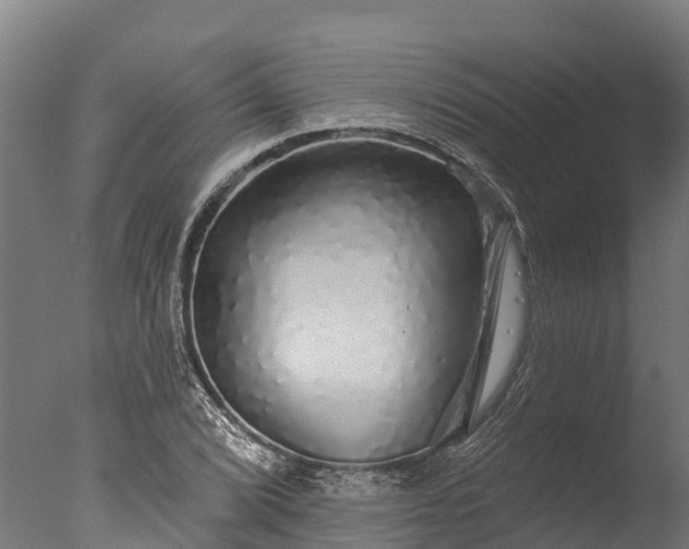 X0000076421072200610161121