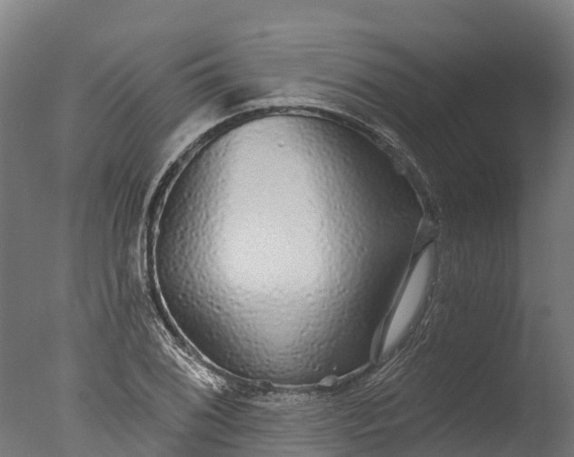 X0000076421076200610161120
