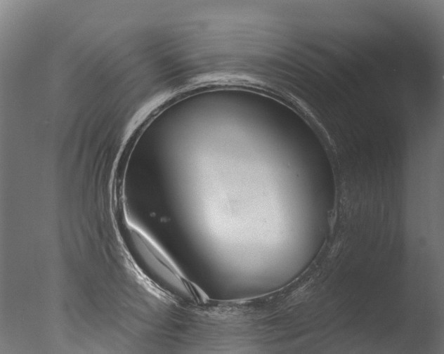 X0000076421082200610161120