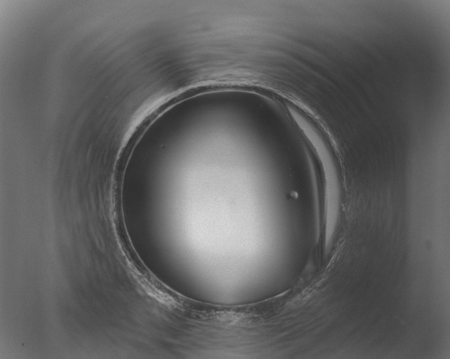 X0000076421085200610161120
