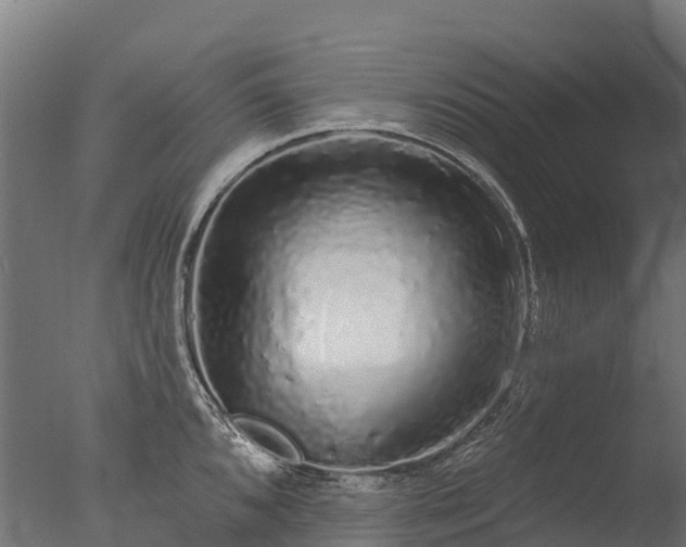 X0000076421096200610161120