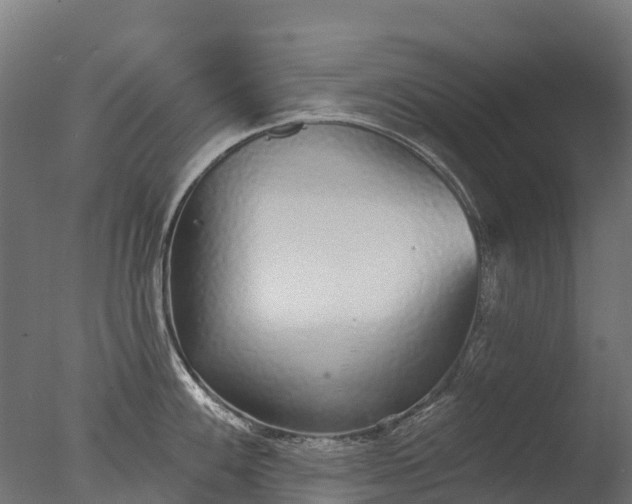 X0000076421100200610161120