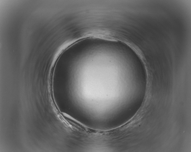 X0000076421104200610161120