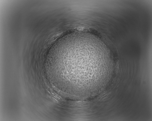 X0000076421105200610161119