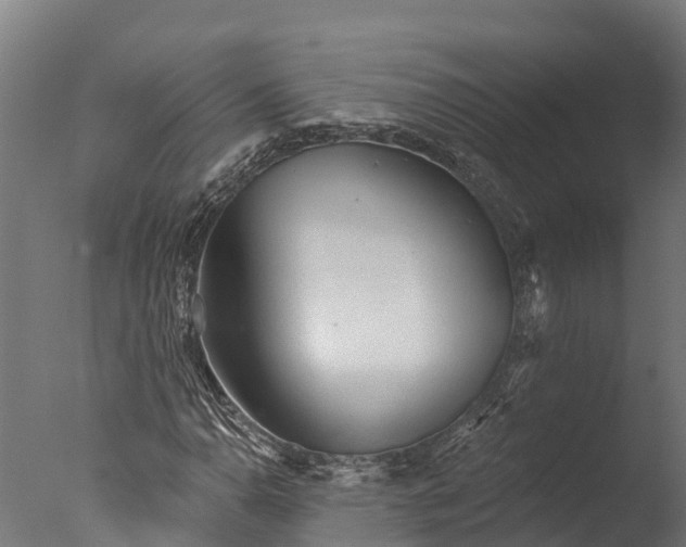 X0000076421110200610161119