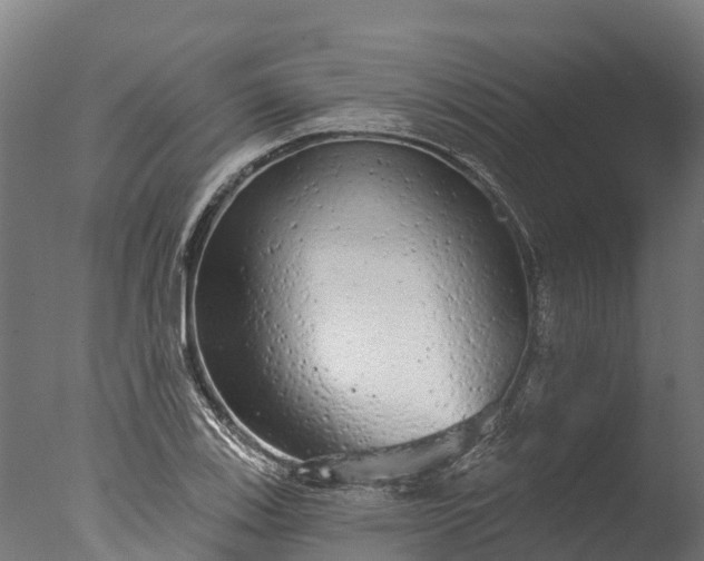 X0000076421123200610161119