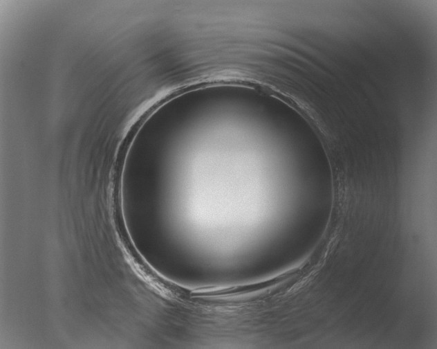 X0000076421134200610161120
