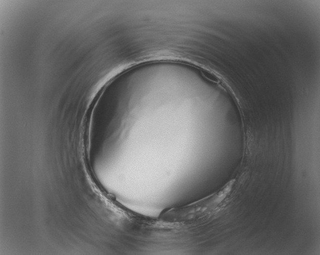X0000076421142200610161120