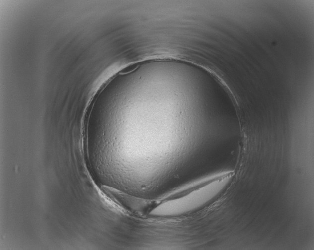 X0000076421143200610161120