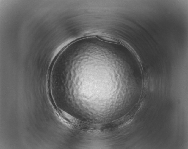 X0000076421149200610161120