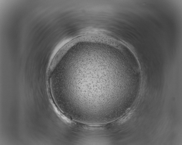 X0000076421152200610161120