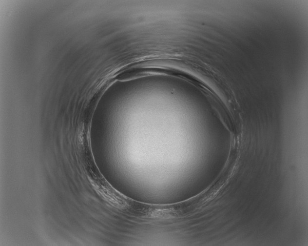 X0000076421161200610161119
