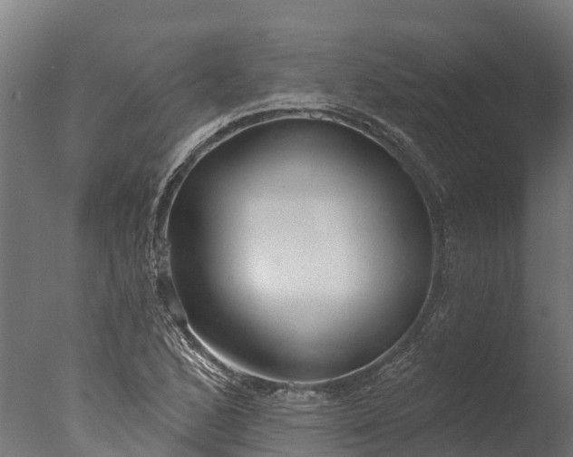 X0000076421168200610161119