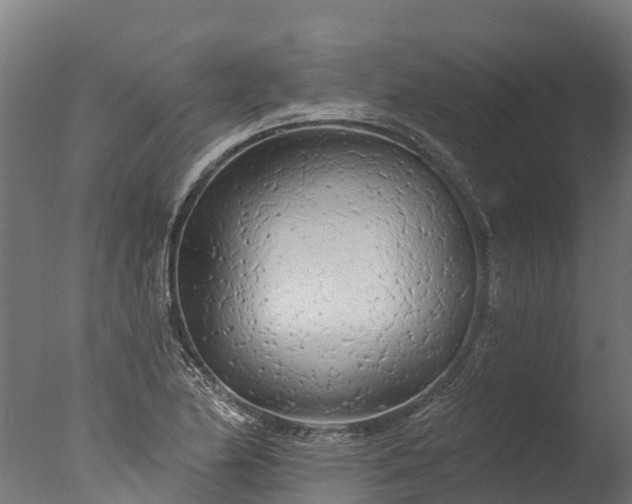 X0000076421174200610161119