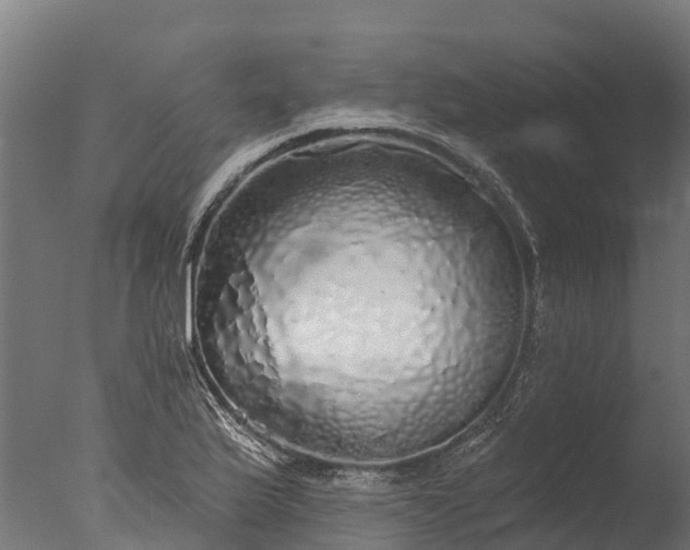 X0000076421175200610161119