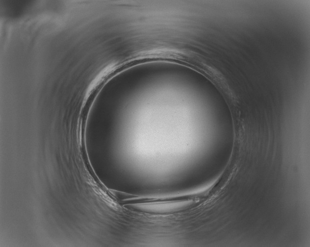 X0000076421180200610161119