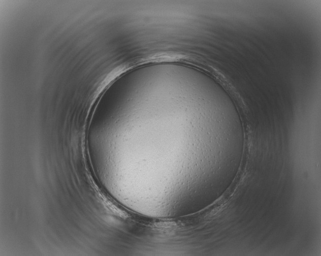 X0000076421186200610161119