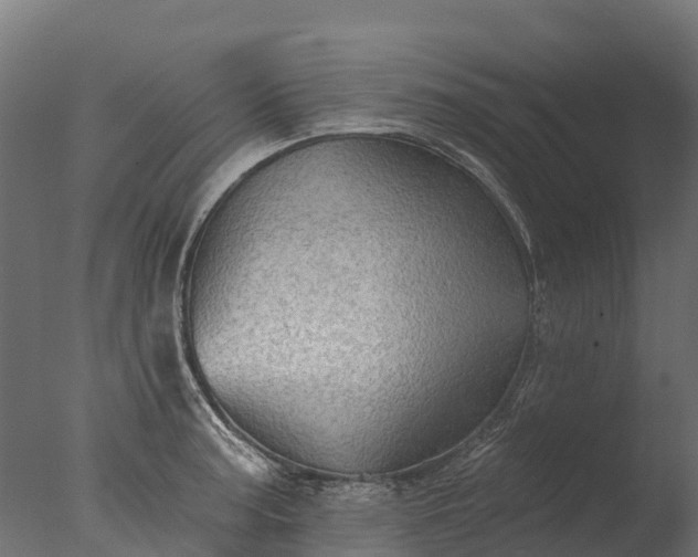 X0000076421187200610161119