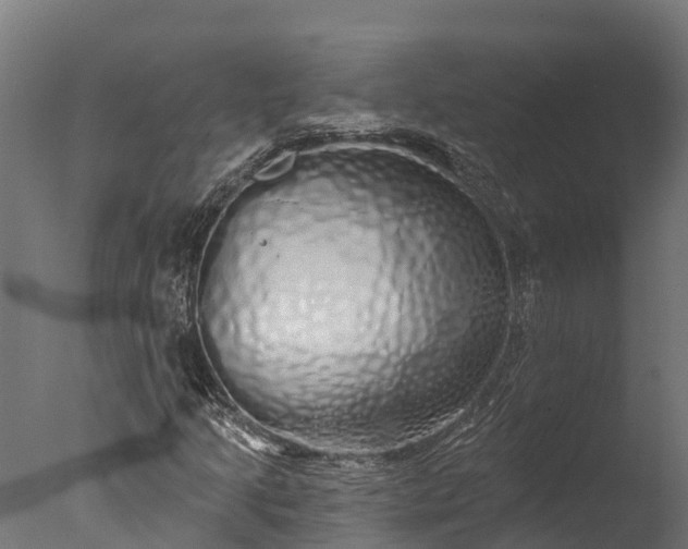 X0000076421205200610161118