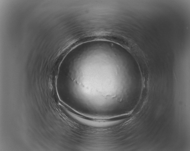 X0000076421209200610161118